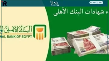 العائد الشهري.. كيف تحسب 14% عند استثمار ربع مليون جنيه لمدة عام؟